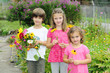 Foto: Kinder pflücken Blumenstrauß Kinder pflücken Blumenstrauß
