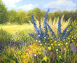 Wild Flowers