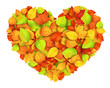 Big autumn heart. Vector