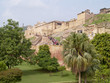 Rise of elephants to Amber Fort,  Rajasthan, India