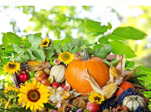 Foto: Herbst: Erntedankfest mit Früchten, Sonnenblumen und Herbstlaub Herbst: Erntedankfest mit Früchten, Sonnenblumen und Herbstlaub