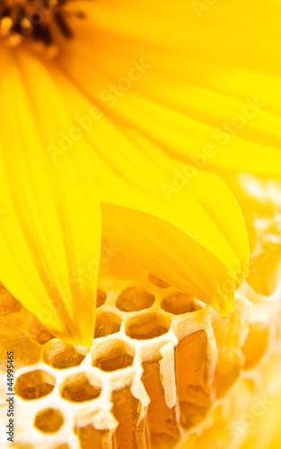 Photo: sweet honeycomb with honey sweet honeycomb with honey