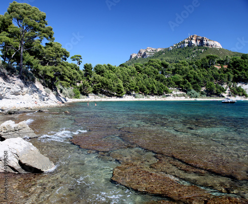 Photo: Cassis Cassis