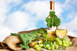 Foto: Enjoy white wine in the glass to Enjoy white wine in the glass to