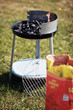 Photo: Grillen Grillen