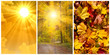 Photo: Goldener Herbst Goldener Herbst