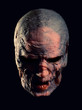 Photo: Portrait of angry monster Portrait of angry monster