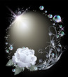 Rose, star and bubbles