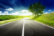 asphalt road in Tuscany, Italy