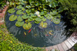 Gartenanlage mit Teich