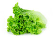 Lettuce Bunch