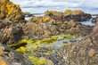 Ballintoy bay basalt rock in Northern Ireland