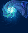 fantastic seashell
