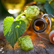 Frischer Hopfen