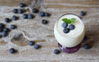 blaubeerjoghurt