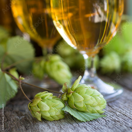 Photo: Frischer Hopfen Frischer Hopfen