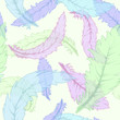 Scattered colored feathers