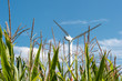 Energiewende Vermaisung und Verspargelung der Landschaft