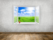 window