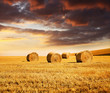 field with hay bales
