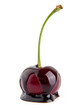 Foto: cherry in a chocolate cherry in a chocolate