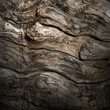 Legno, venatura