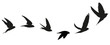 Vogelzug Vektor Silhouette