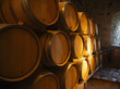 Wine barrels in a old wine cellar