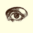 Human Eye