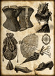 vintage drawing fashion accessories for lady