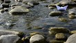 Video: paper boat floating in a stream paper boat floating in a stream