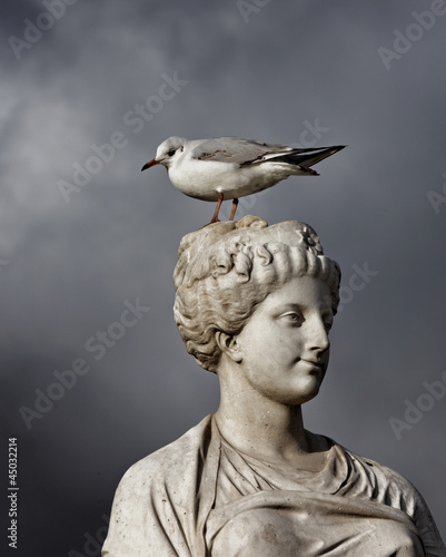 Photo : Dame à la Mouette Dame à la Mouette