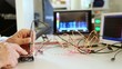 Electronic circuit testing