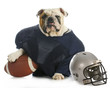 sports hound