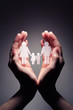 Family in palm concept