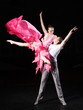 Photo: ballet dancers in rehearsal ballet dancers in rehearsal