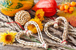 Herbst - Dekoration