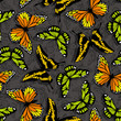 butterfly wallpaper