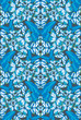 butterfly wallpaper
