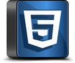 HTML 5 button