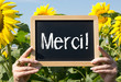 Merci !
