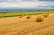 Straw Bales near the Sea in Normandy, France