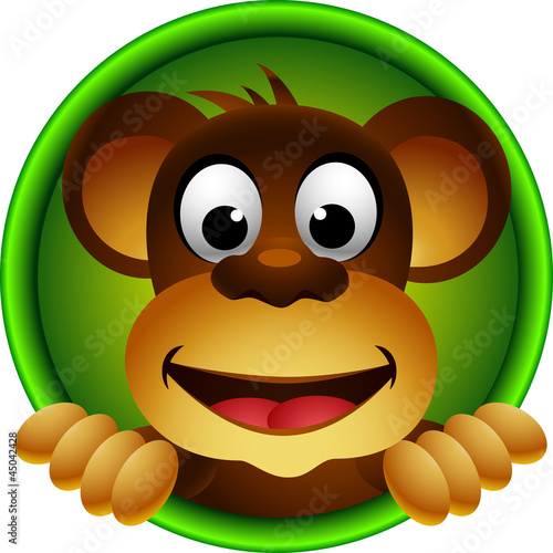 Vector: cute monkey head cartoon cute monkey head cartoon
