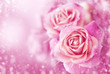 canvas print picture - Beautiful pink roses