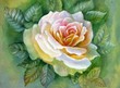 Photo: WATERCOLOR FLOWER ROSE WATERCOLOR FLOWER ROSE