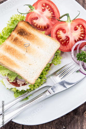 Photo: Tuna Sandwich on a plate Tuna Sandwich on a plate