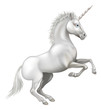 Cartoon Unicorn