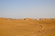 Safari in the United Arab Emirates, Dubai.