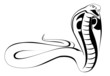cobra