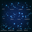 zodiac signs vector illustration
